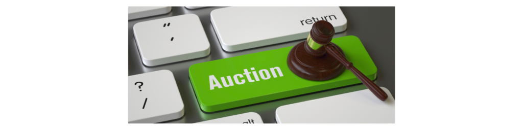 Silent Auction (8 × 2 in) Silent Auction (8 × 2 in)